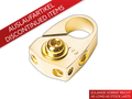 Accuklem pluspool (goud) met accubescherming 2 x 10 mm²