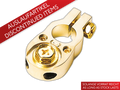 Accupool minpool (goud) 2 x 10 mm²