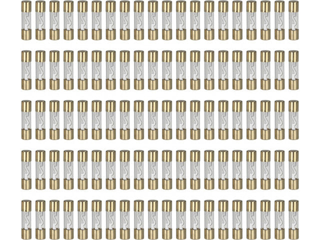 AGU zekeringen 10 ampère (zilver) 100 stuks los