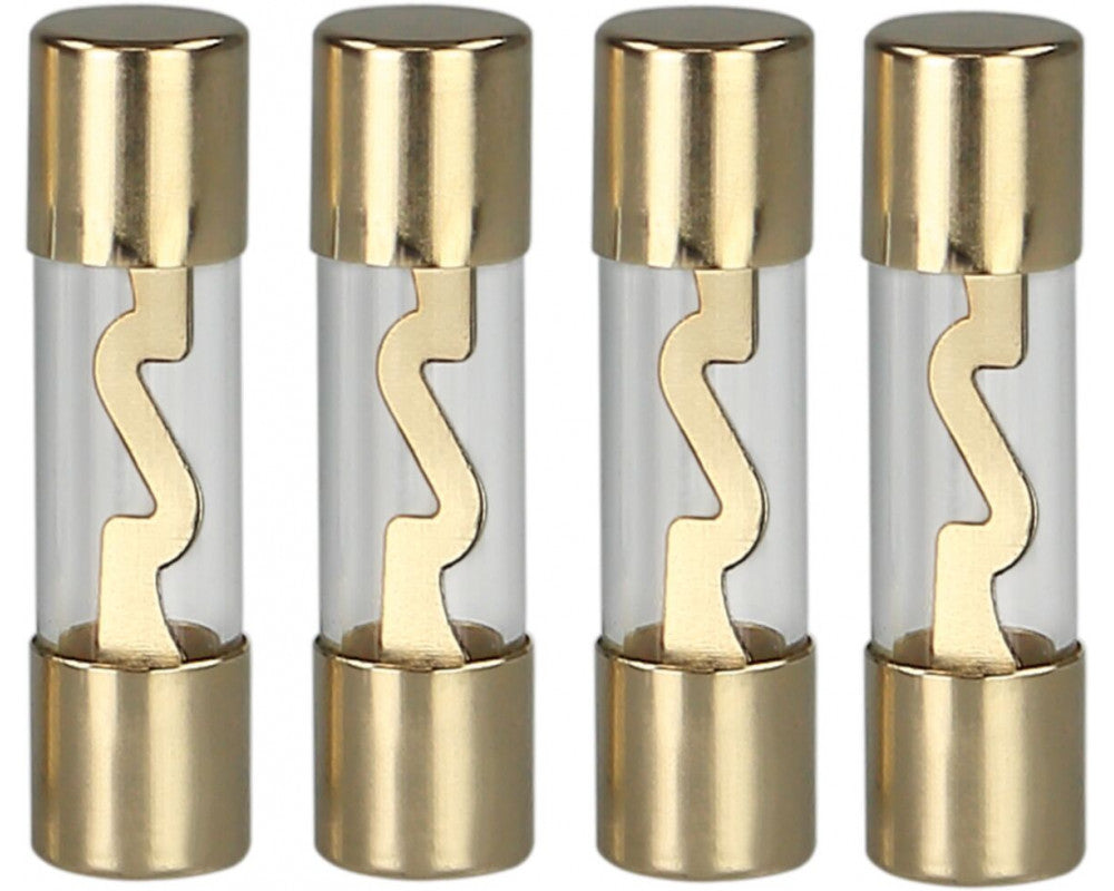 AGU zekering 10 Ampere (goud) 4 stuks in blister