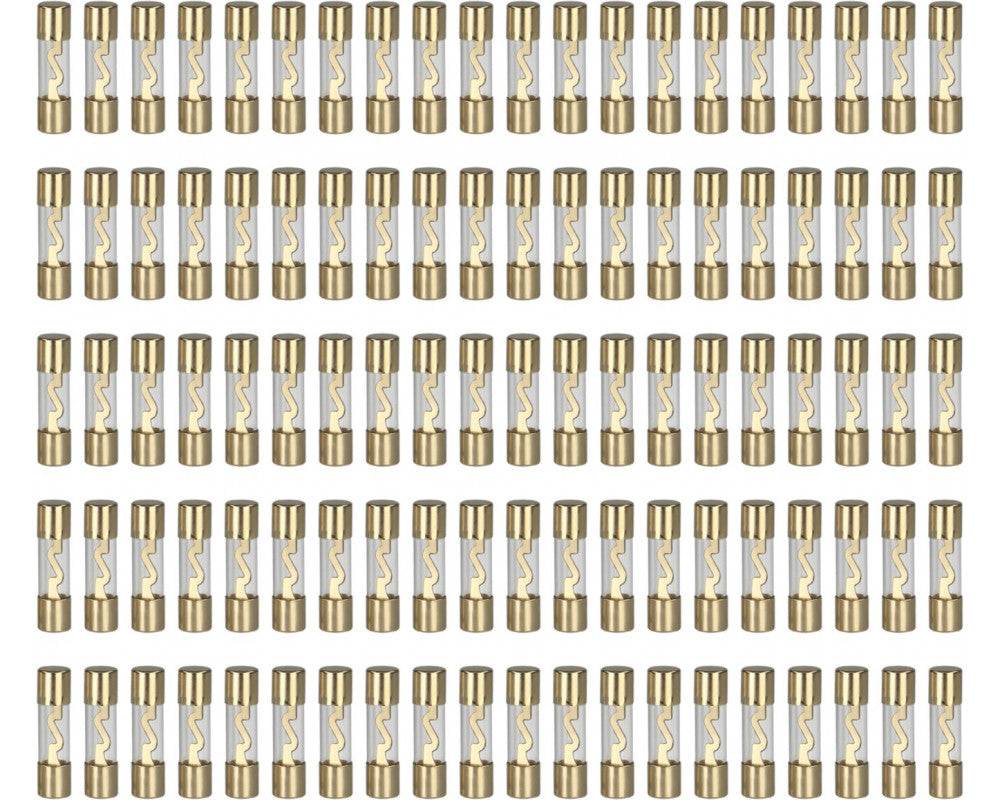 AGU zekeringen 10 ampère (goud) 100 stuks los