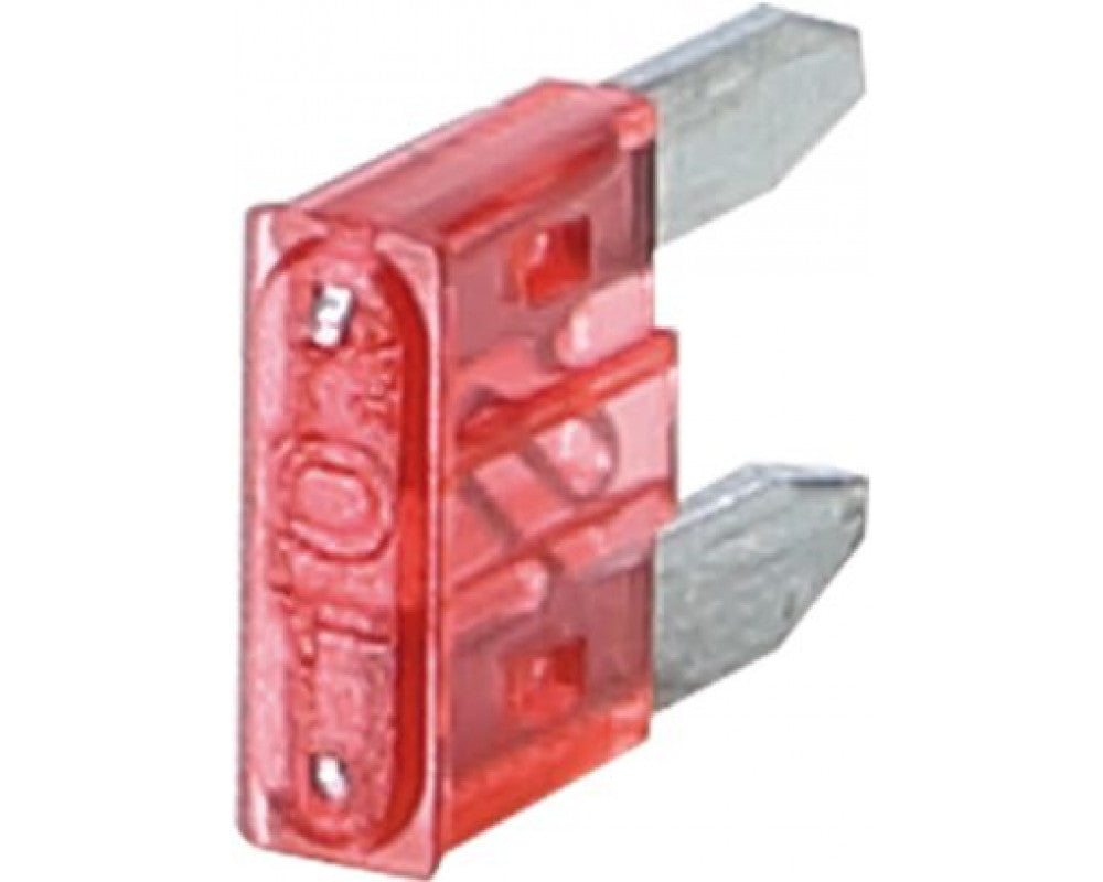 mini zekering 10 Ampere (50 stuks)
