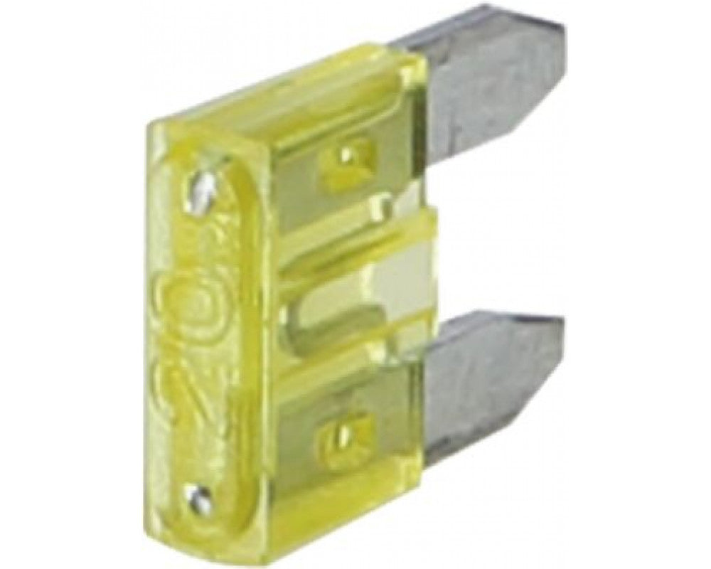 mini zekering 20 Ampere (50 stuks)