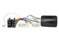 ST.W.BED. Toyota Tundra 14- met JBL systeem