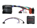 Stuurwielinterface. Citroen/Fiat/Peugeot/Toyota Multilead RD4 OEM Apparaat (42spg007)