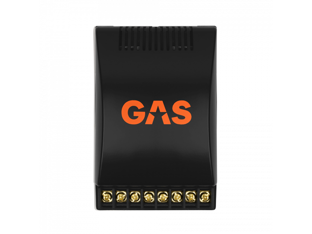 GAS MAD Level 1 2-Way Crossover