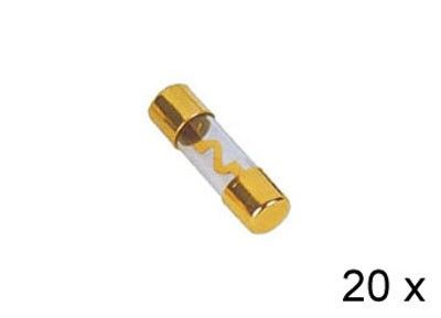 AGU Glaszekering  verguld   60A  20x